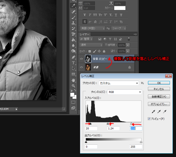 複製レベル補正