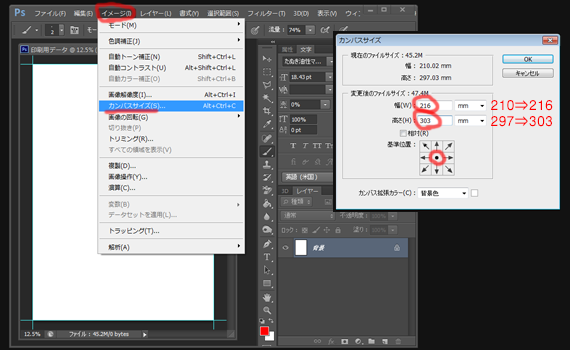 カンバスサイズ