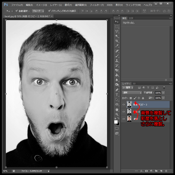背景を複製モノクロレイヤー2つ