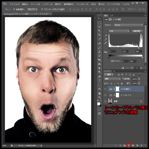 トーンカーブ・レベル補正