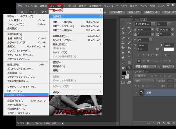 バリエーションを選択